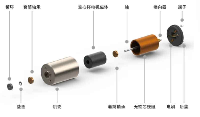 空心杯电机爆炸图