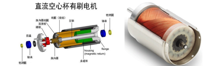 空心杯电机绕组图